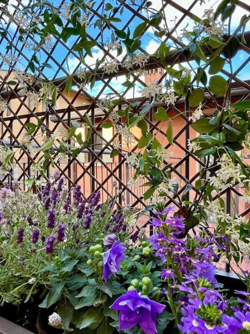 La Casa Di Nina - Appartamento 1 Valeggio sul Mincio Exterior foto